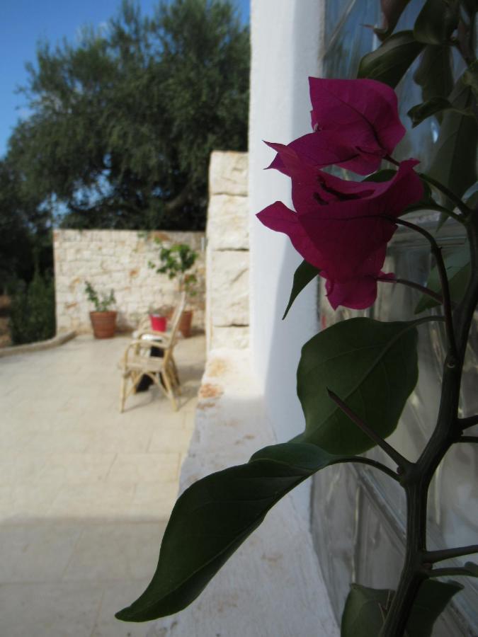 Casa Ale & Vinci Villa Монополи Екстериор снимка