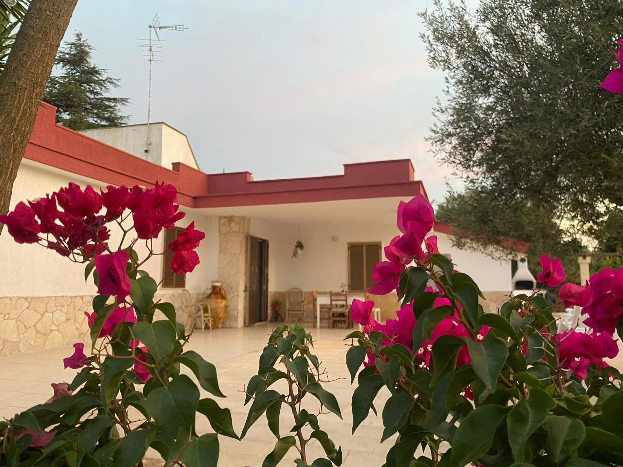 Casa Ale & Vinci Villa Монополи Екстериор снимка